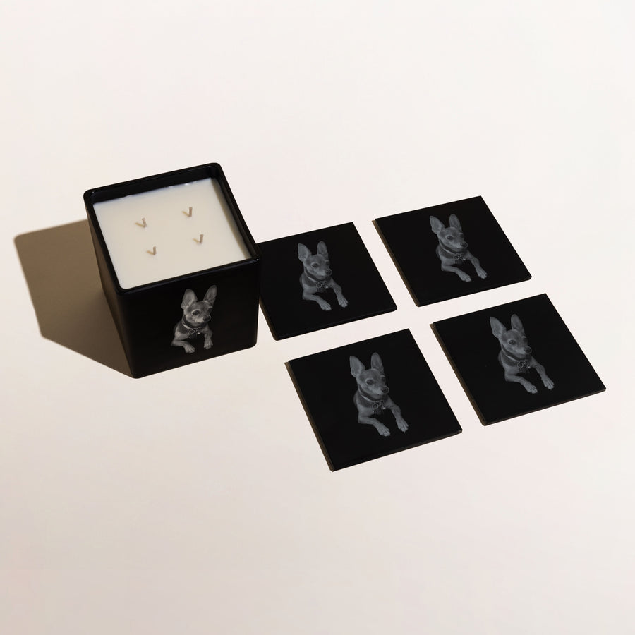 Pet Candle + Coasters Bundle