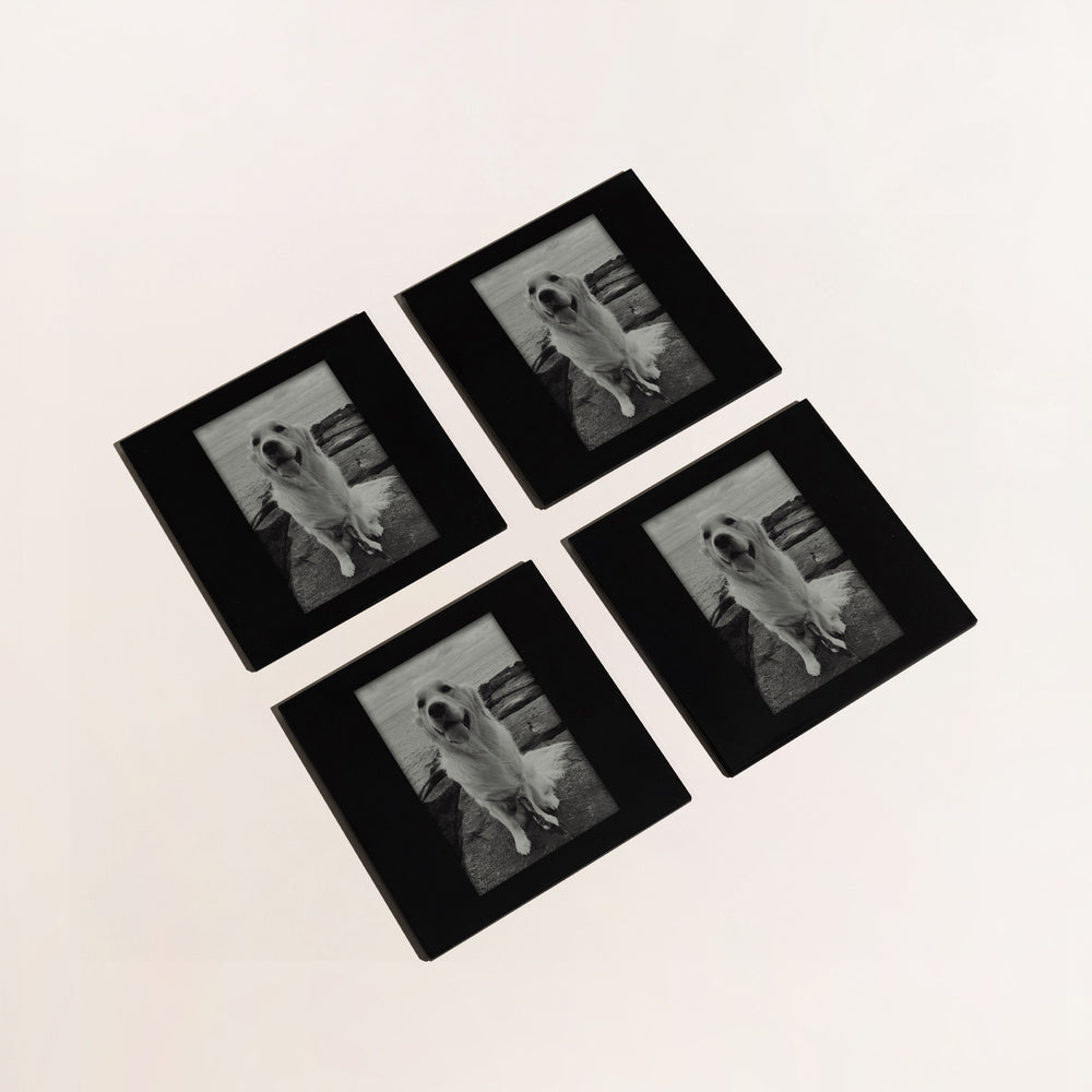 CUSTOM PET COASTERS (SET OF 4)