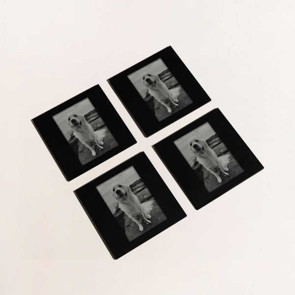 CUSTOM PET COASTERS (SET OF 4)