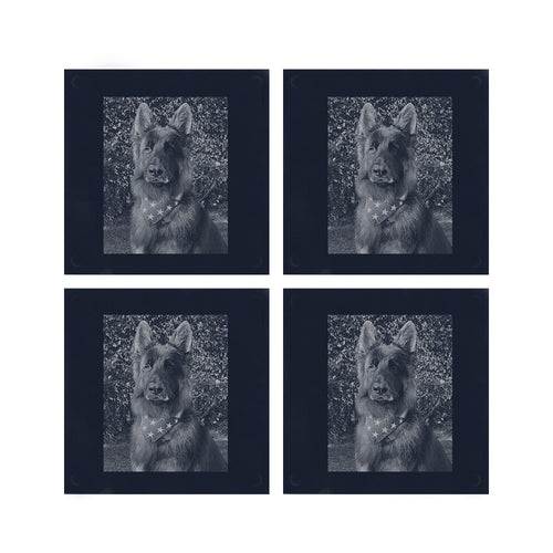 CUSTOM PET COASTERS (SET OF 4)