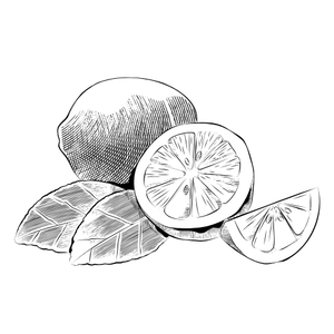 PASS THE PALOMA MINI (FREE GIFT)