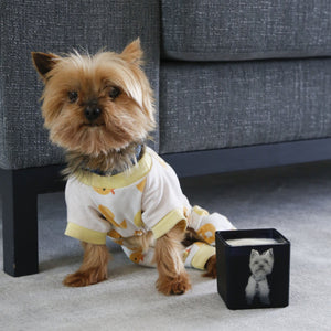 CUSTOM PET CANDLE