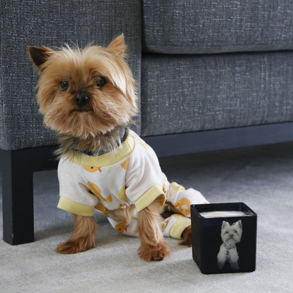 CUSTOM PET CANDLE